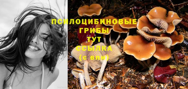 круглые Каменногорск