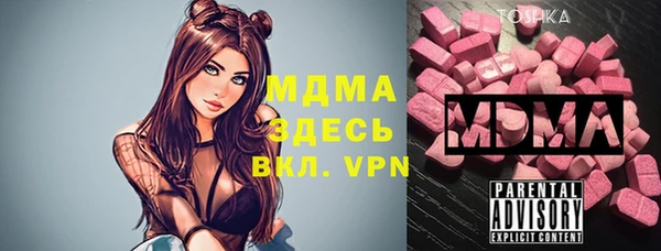 мдпв Ельня
