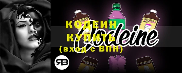 МДПВ Каменка