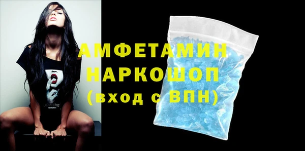 МДПВ Каменка