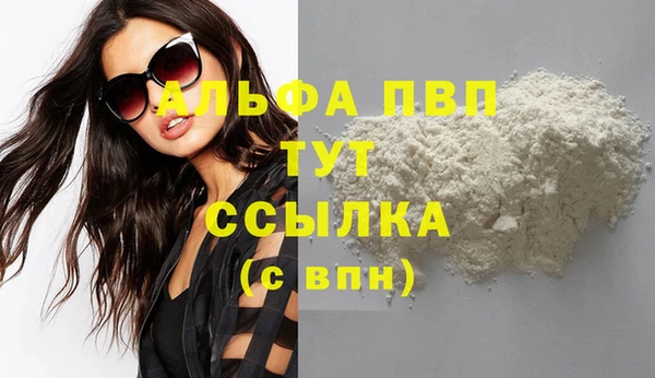 МДПВ Каменка
