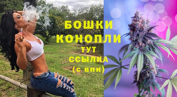 дурь Каменск-Шахтинский