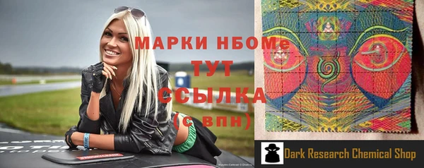МДПВ Каменка